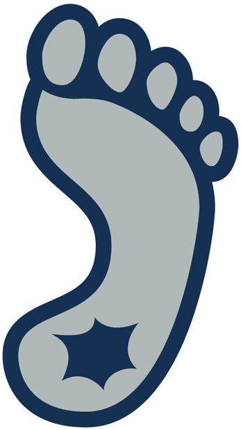 North Carolina Tar Heels 1999-2014 Alternate Logo v3 diy fabric transfer